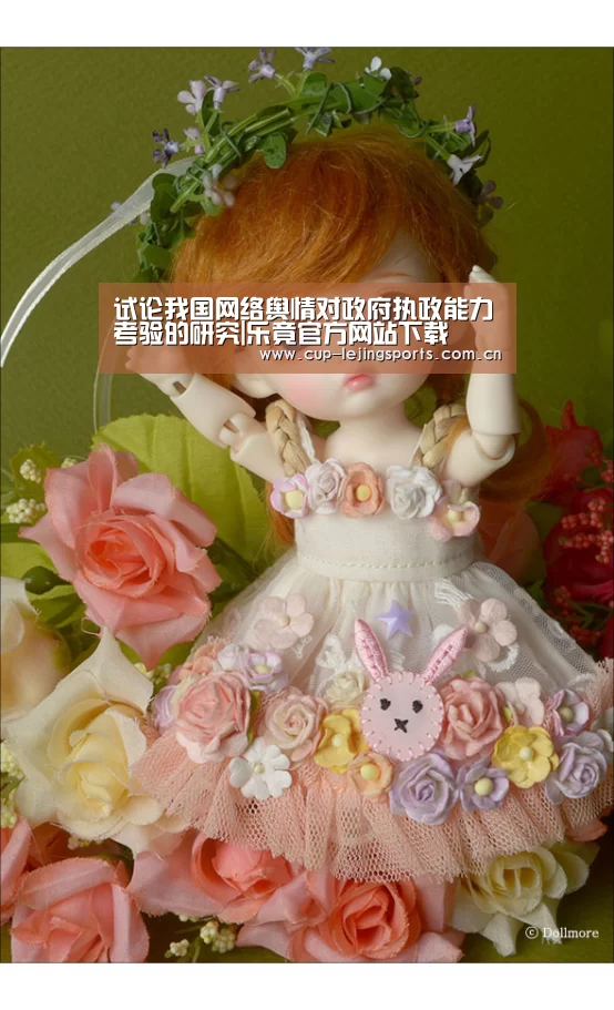 试论我国网络舆情对政府执政能力考验的研究|乐竟官方网站下载(图1) 乐竟官方网站下载