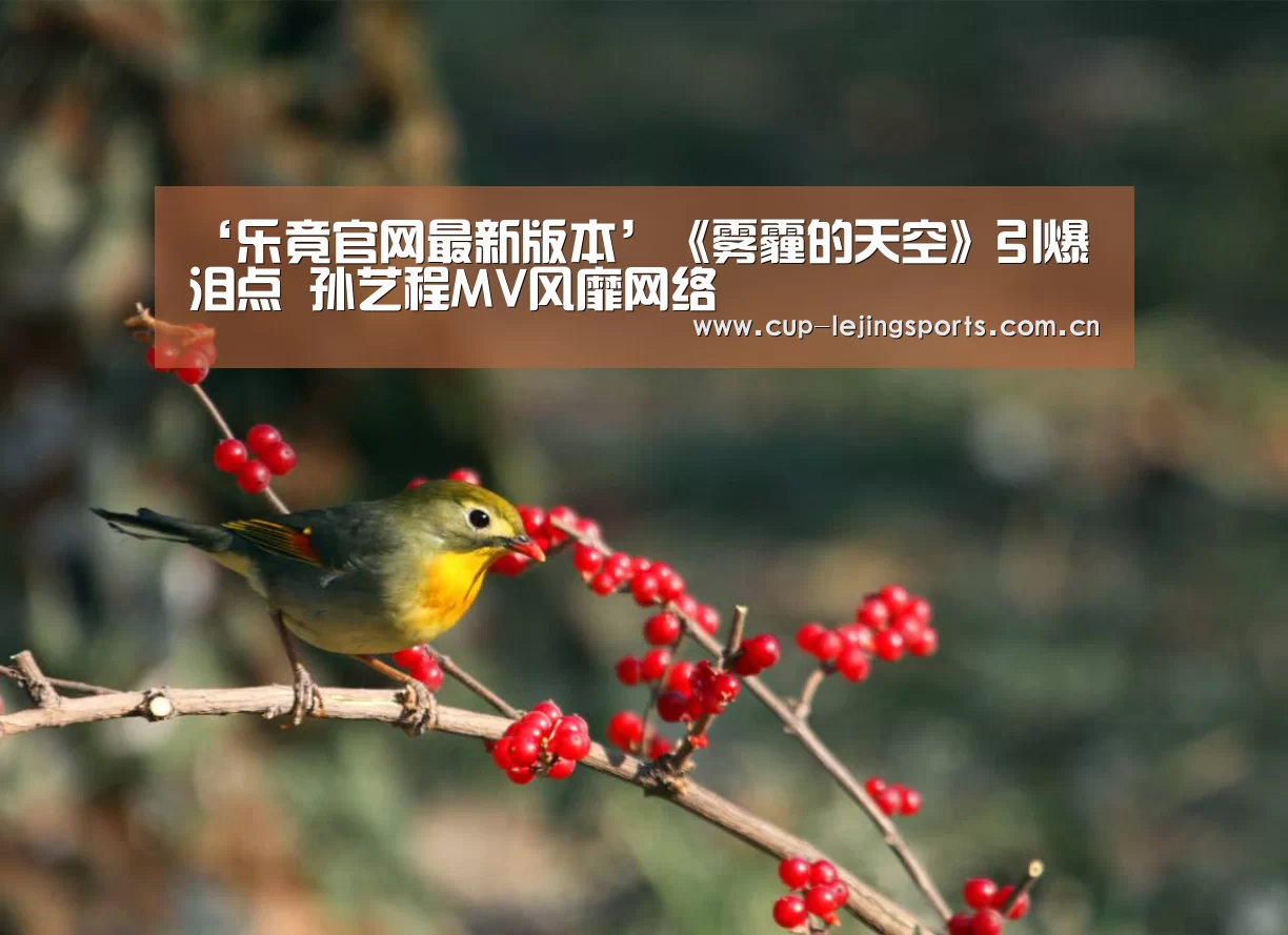 ‘乐竟官网最新版本’《雾霾的天空》引爆泪点 孙艺程MV风靡网络(图2) 乐竟官网最新版本