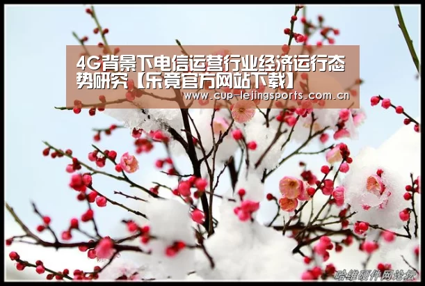 4G背景下电信运营行业经济运行态势研究【乐竟官方网站下载】(图3) 乐竟体育官方