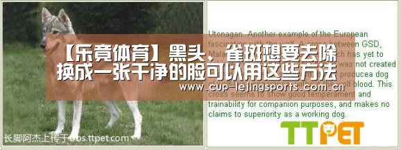 【乐竟体育】黑头、雀斑想要去除换成一张干净的脸可以用这些方法(图2) 乐竟官方网站下载