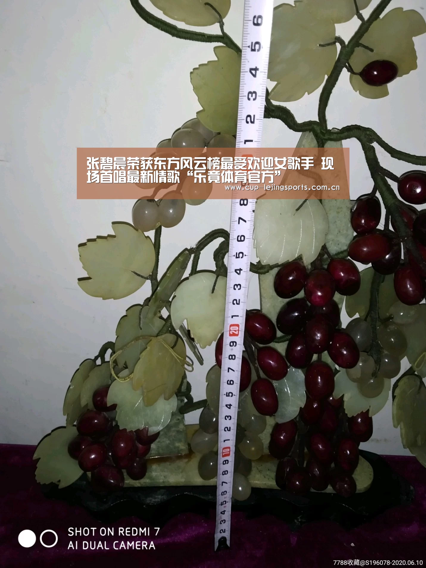 乐竟官方网站下载