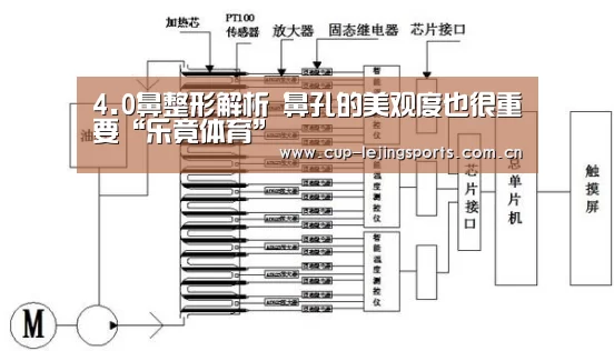 4.0鼻整形解析 鼻孔的美观度也很重要“乐竟体育”(图1) 乐竟官方网站下载