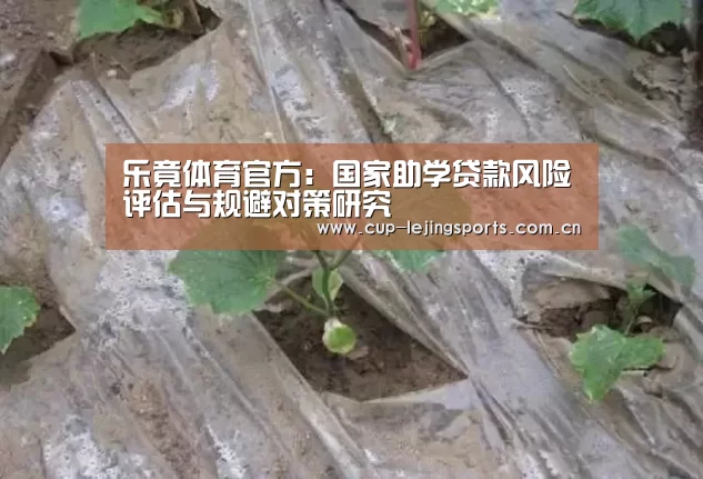 乐竟体育官方:国家助学贷款风险评估与规避对策研究(图1) 乐竟官方网站下载
